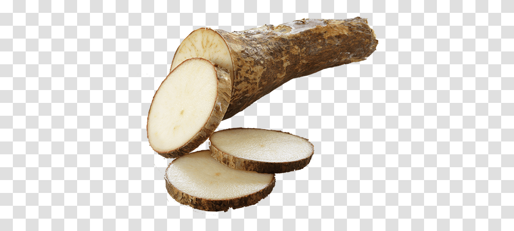 Yuca Daikon, Plant, Fungus, Banana, Fruit Transparent Png