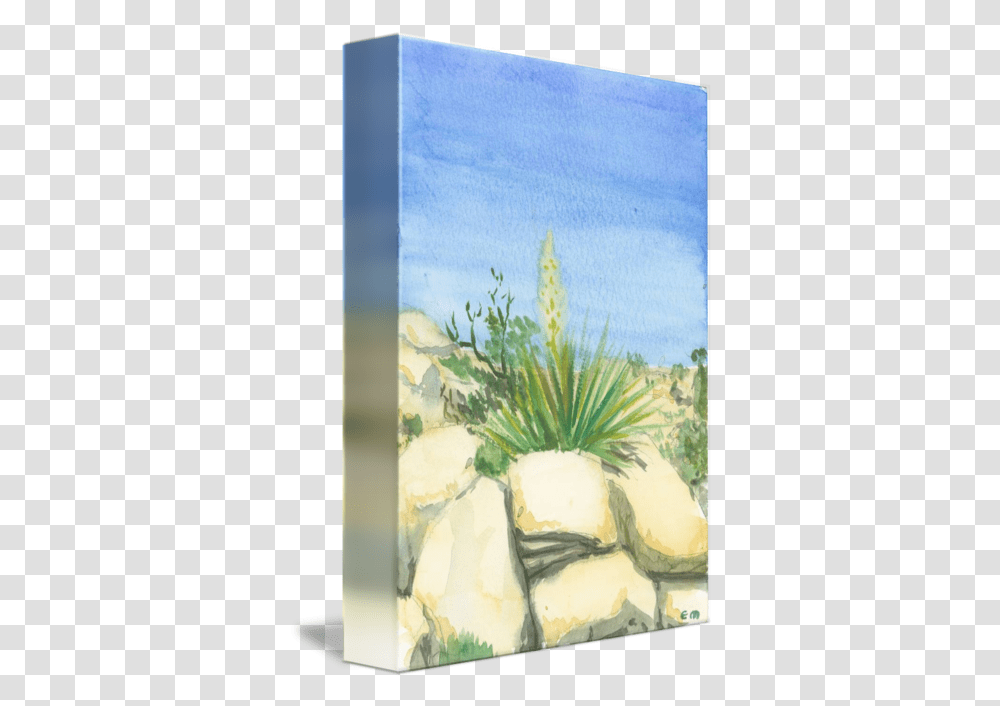 Yucca And Rock Study Floral Design, Art, Painting, Plant, Modern Art Transparent Png