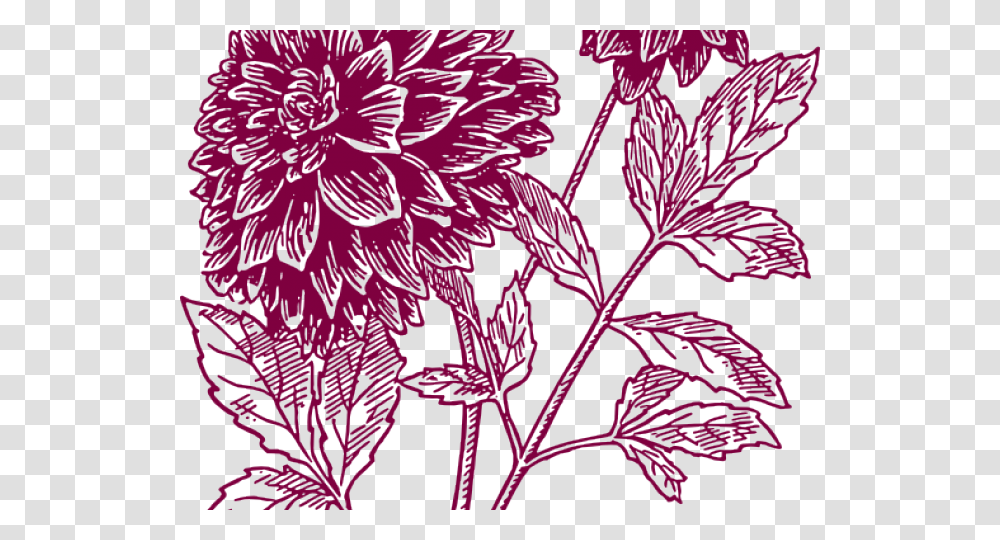 Yucca Black Dahlia Flower Drawing, Leaf, Plant, Pattern, Purple Transparent Png