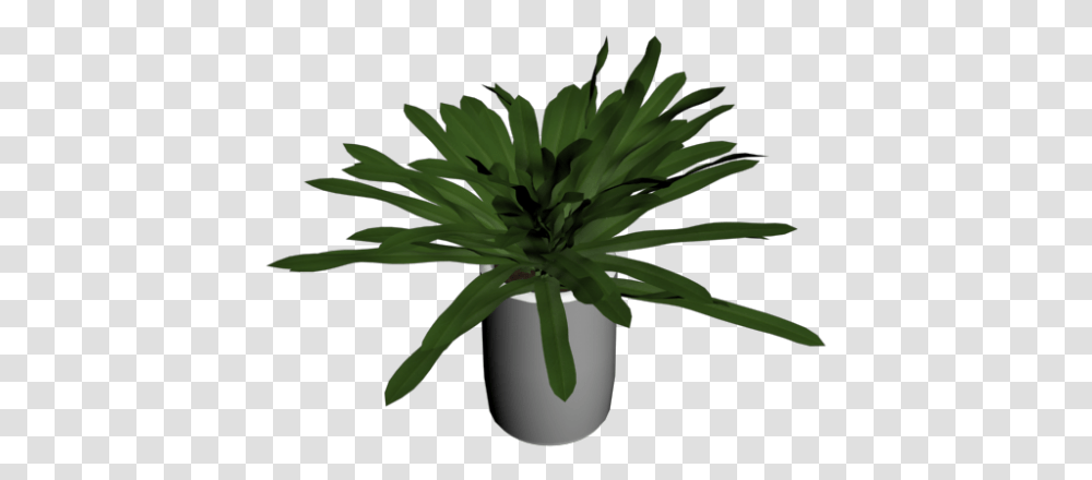 Yucca Palm Tree Small Design And Decorate Your Room In 3d Houseplant, Vegetation, Leaf, Flower, Blossom Transparent Png