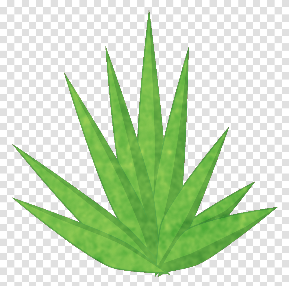 Yucca Plant Cannabis, Leaf, Weed, Hemp, Grass Transparent Png