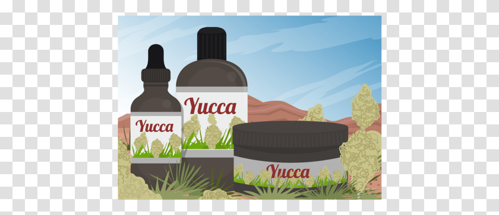 Yucca Scene And Yucca Medicine Extract Of Vector Tree, Label, Bottle, Plant Transparent Png
