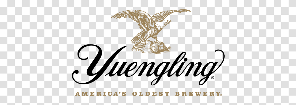 Yuengling Brewery Logomark Yuengling Beer Logo 2017, Text, Bird, Animal, Outdoors Transparent Png