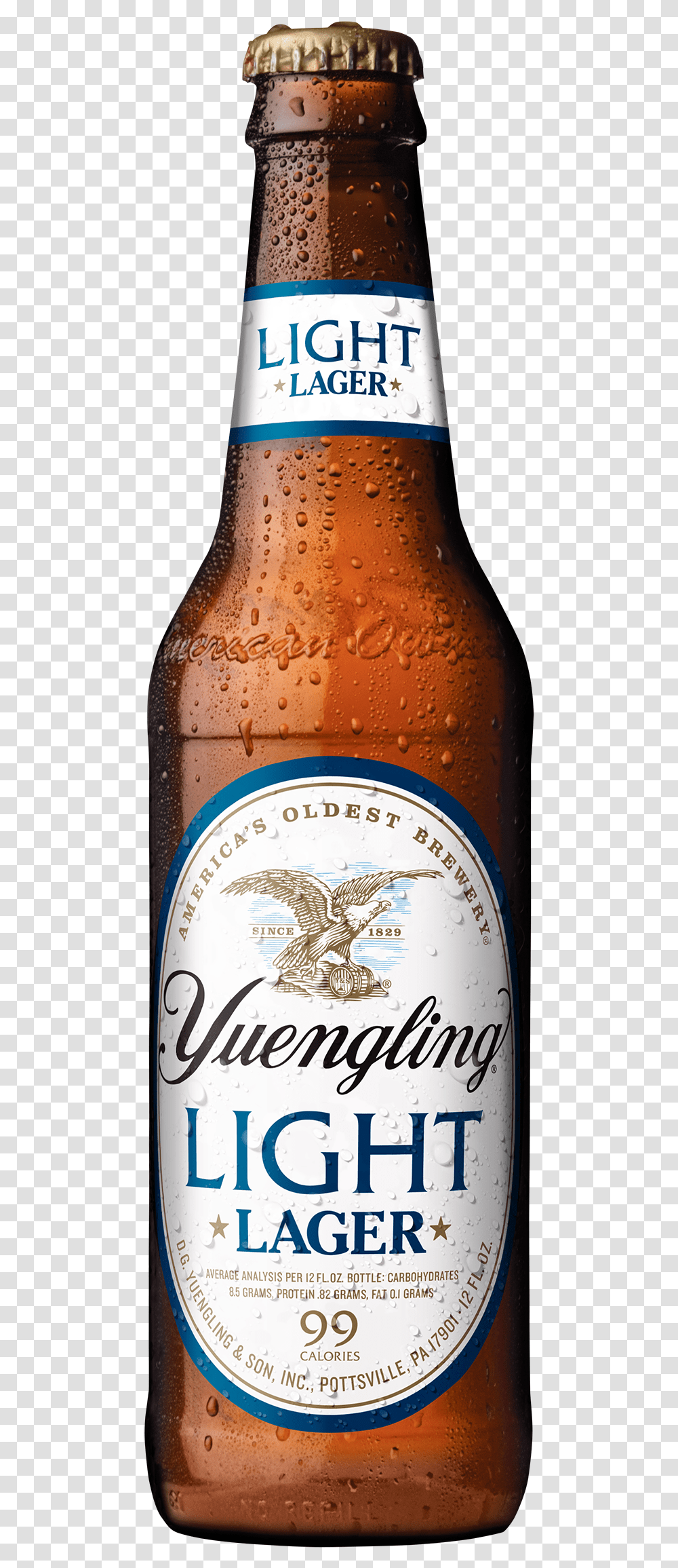 Yuengling Light Lager 99 Calories, Beer, Alcohol, Beverage, Drink Transparent Png