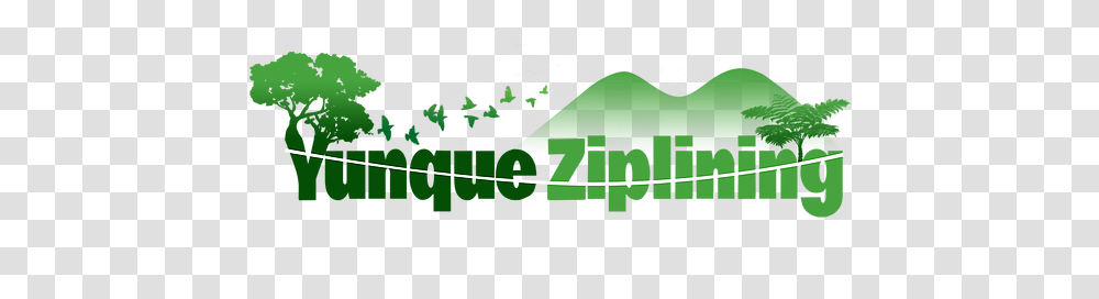 Yunque Ziplining Home Yunque Ziplining, Outdoors, Nature, Bridge, Building Transparent Png