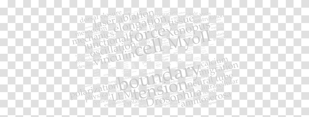 Yusuke Hara's Personal, Word, Text, Wall, Calligraphy Transparent Png