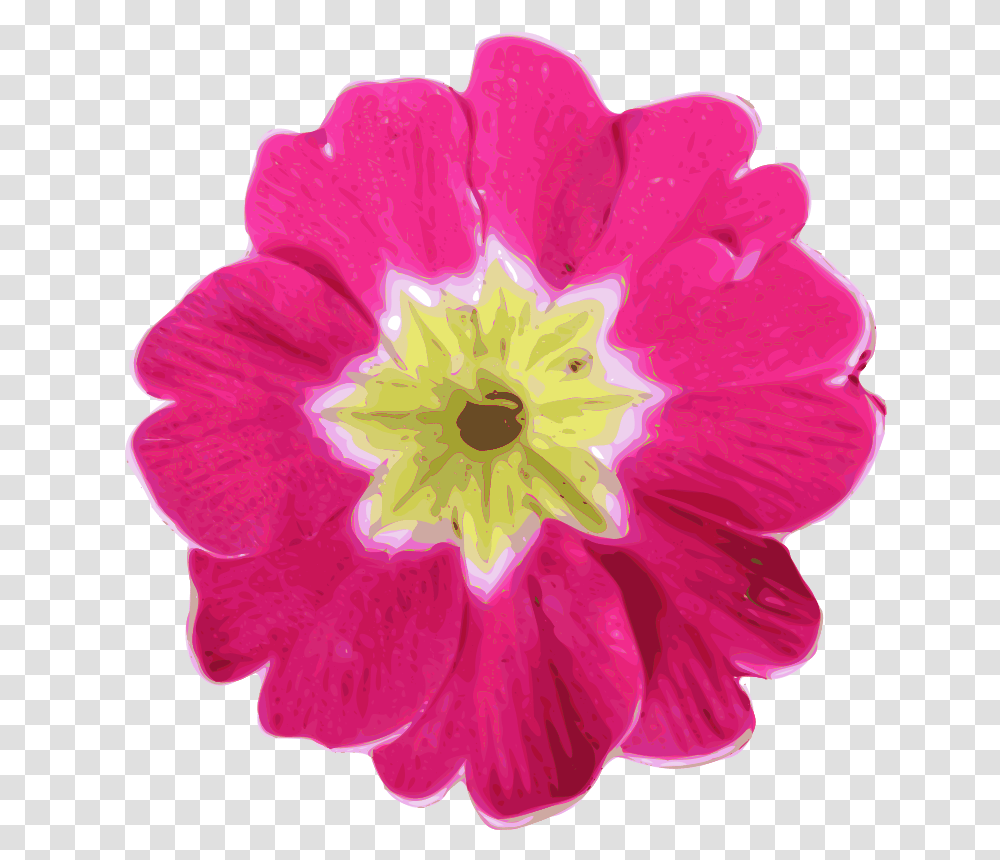 Yves Guillou Flower, Nature, Geranium, Plant, Blossom Transparent Png