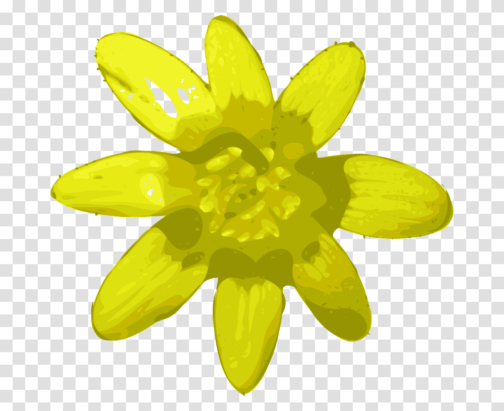 Yves Guillou Flower, Nature, Plant, Blossom, Banana Transparent Png