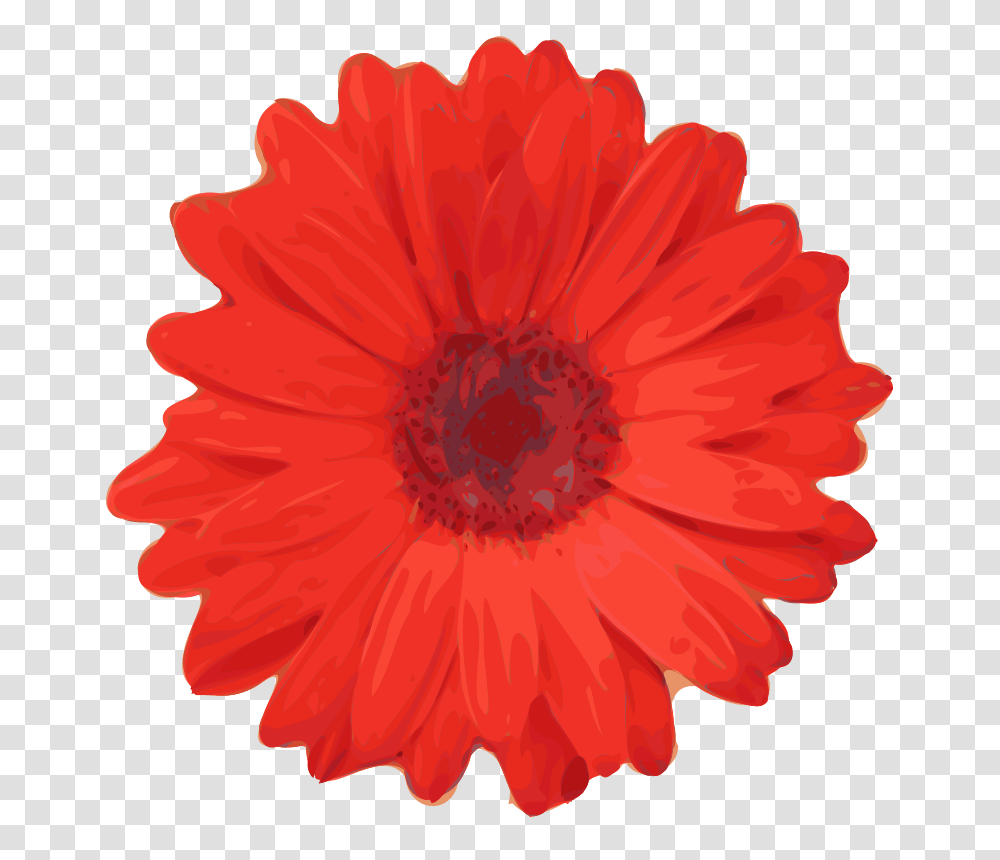 Yves Guillou Flower, Nature, Plant, Blossom, Poppy Transparent Png