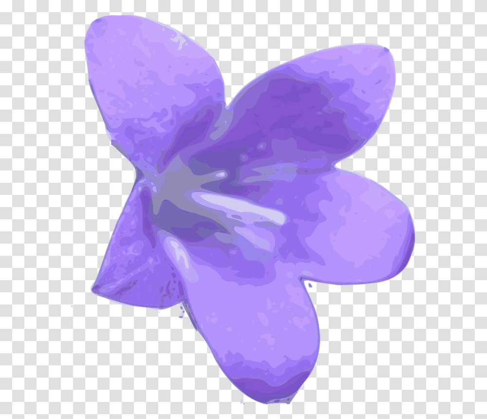 Yves Guillou Flower, Nature, Plant, Petal, Blossom Transparent Png