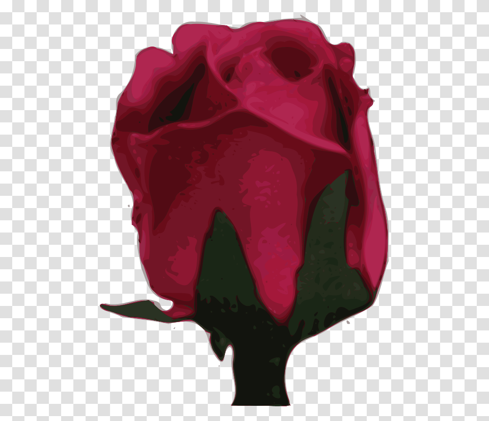 Yves Guillou Flower, Nature, Plant, Rose, Blossom Transparent Png