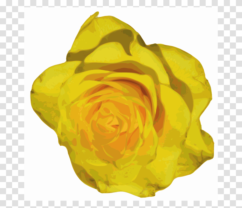 Yves Guillou Flower, Nature, Plant, Rose, Blossom Transparent Png