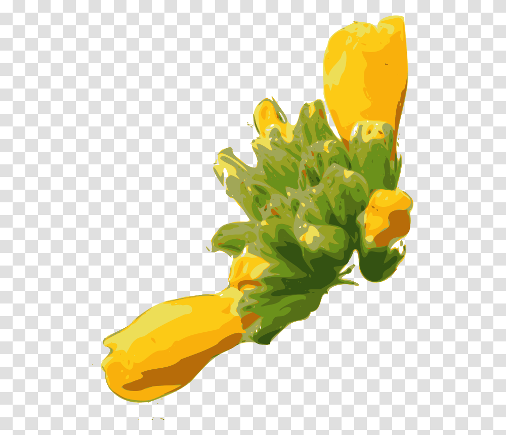 Yves Guillou Flower, Nature, Plant, Vegetable, Food Transparent Png