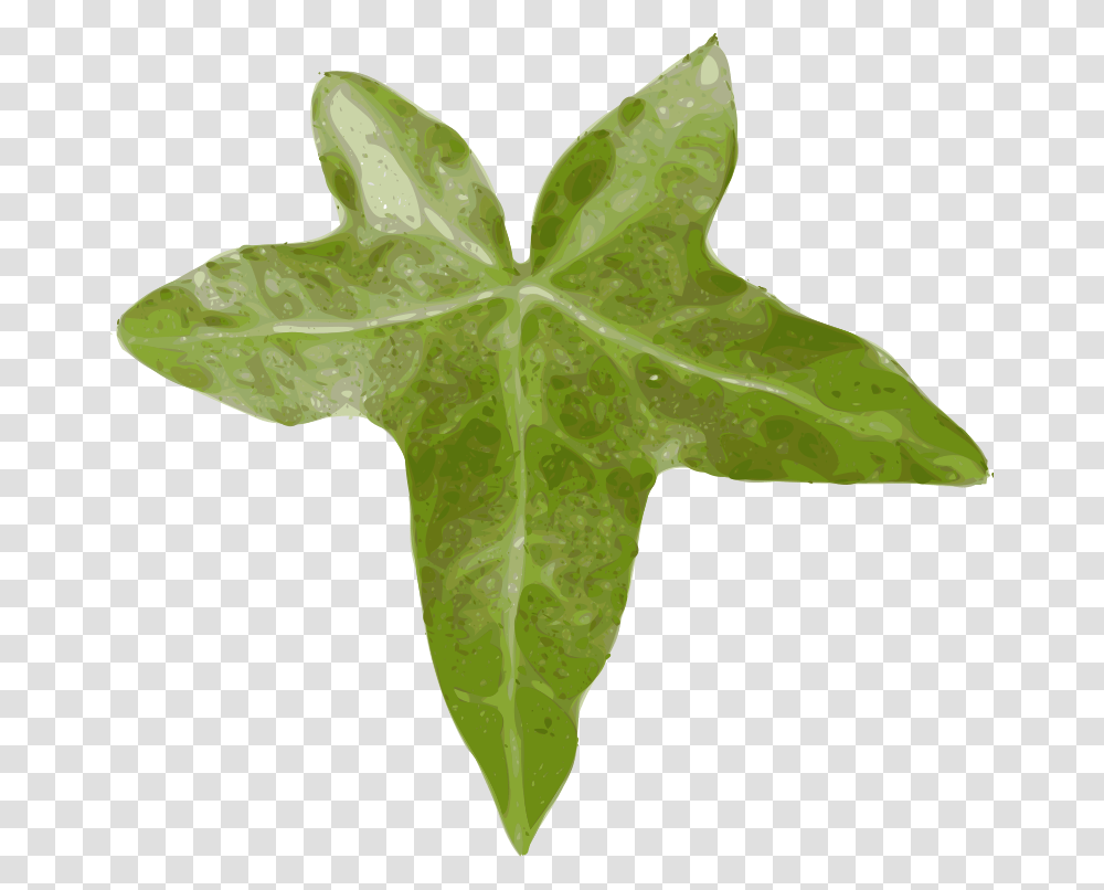 Yves Guillou Leaf, Nature, Plant, Tree, Maple Leaf Transparent Png