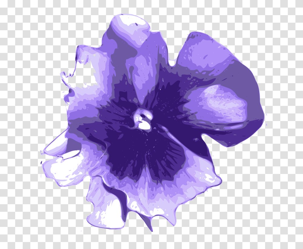 Yves Guillou Pensee, Nature, Plant, Flower, Blossom Transparent Png