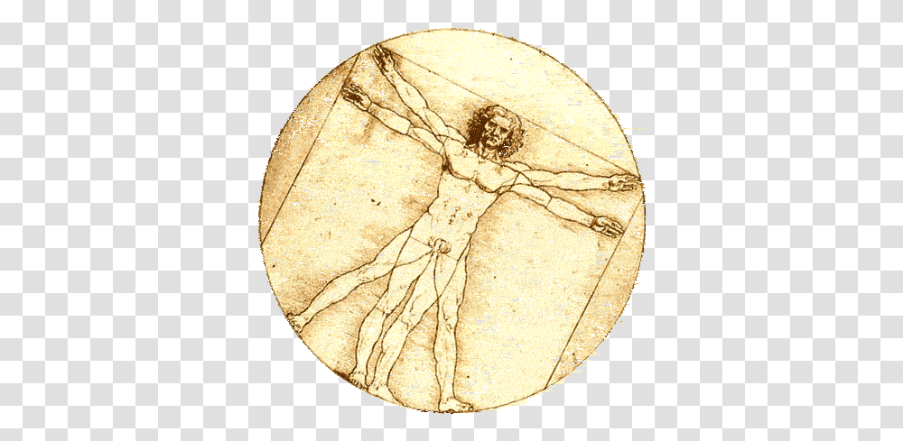 Zach Scott Gif Of Leonardo Da Vinci's Vitruvian Man Dot, Soil, Fossil, Archaeology, Gold Transparent Png