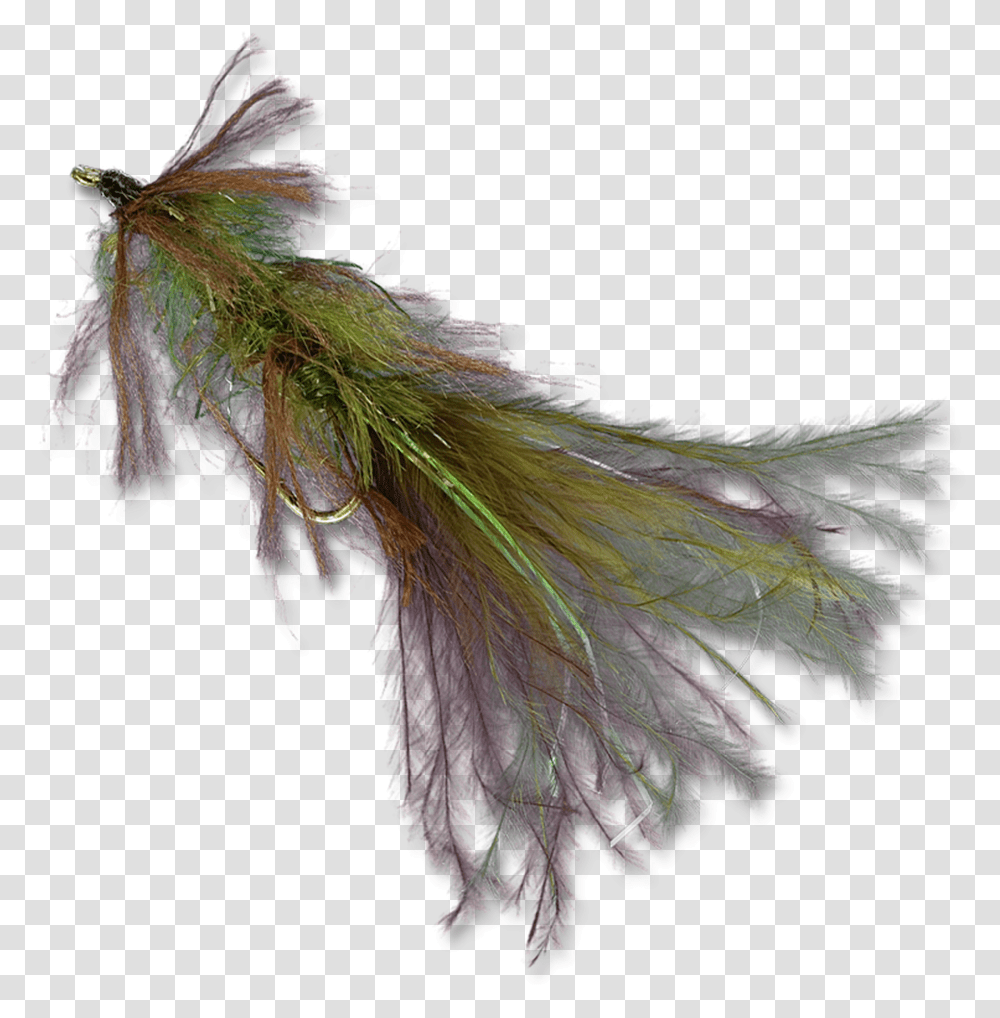 Zack S Stillwater Swimming Leech Earrings, Leaf, Plant, Bird, Animal Transparent Png