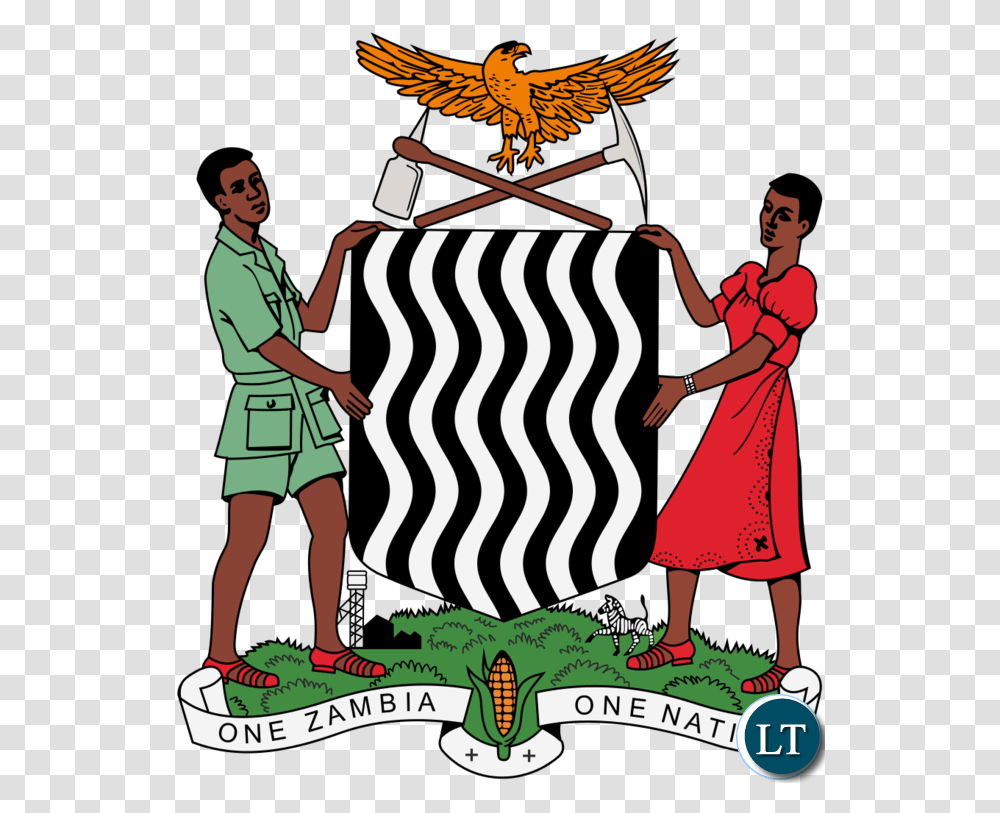 Zambia Government Orders All Schools To Sing The National Anthem, Person, Shoe, Bird, Performer Transparent Png
