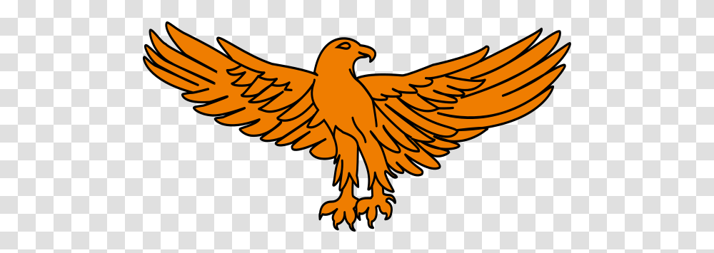 Zambie Eagle Clip Art, Bird, Animal, Finch Transparent Png