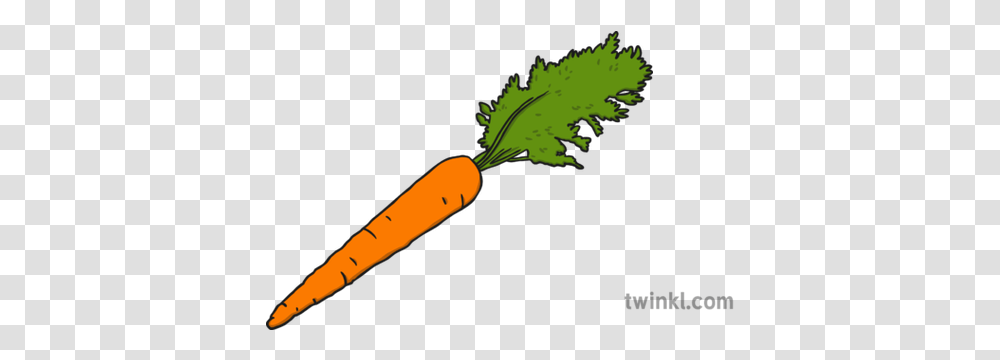 Zanahoria Ilustracin Twinkl Overloaded Socket Of Christmas Lights, Plant, Carrot, Vegetable, Food Transparent Png