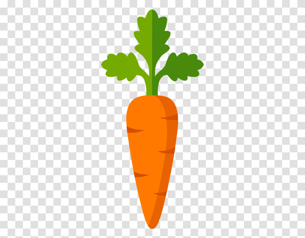 Zanahoria Vegetales Orange Ortaggi Silhouette, Plant, Carrot, Vegetable, Food Transparent Png