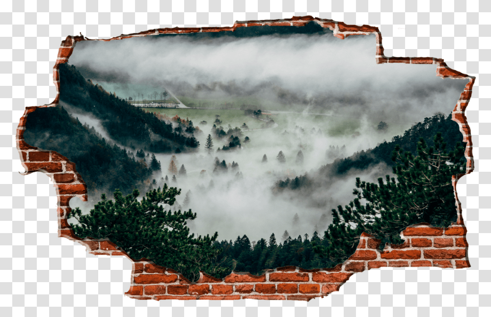 Zapwalls Decals Foggy Forest Hills Breaking Wall Nature Pines Mist, Outdoors, Mountain, Weather, Scenery Transparent Png