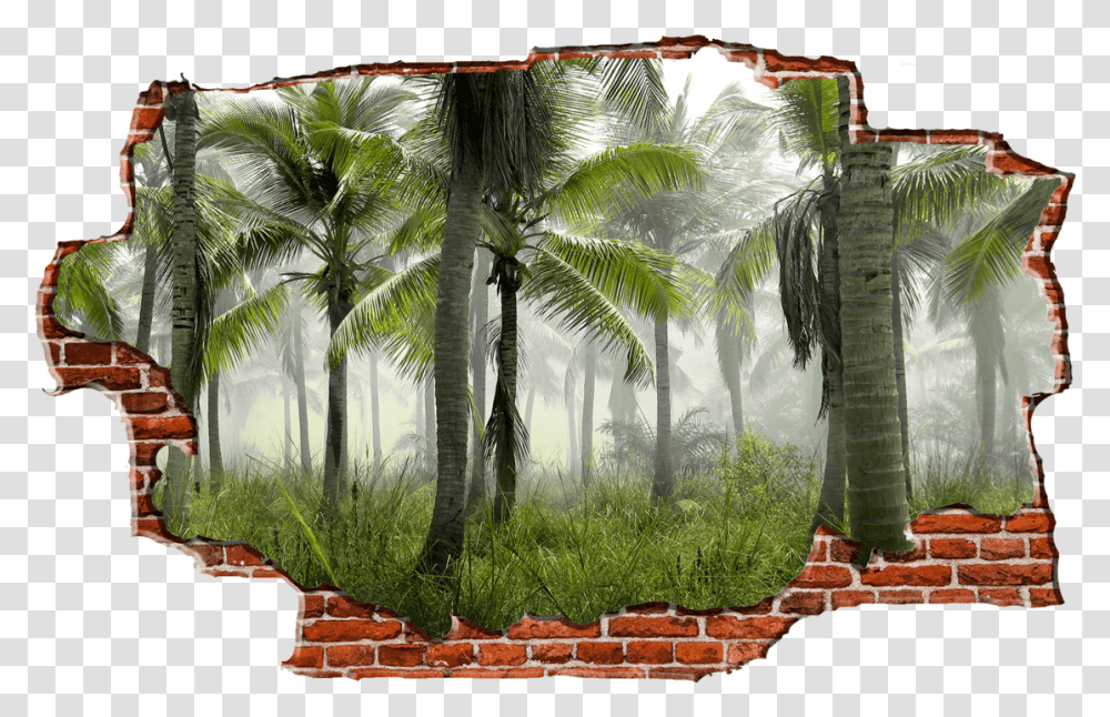 Zapwalls Decals Jungle Tree View Breaking Wall Naturequot 4k Coconut Tree Forest, Vegetation, Plant, Land, Outdoors Transparent Png