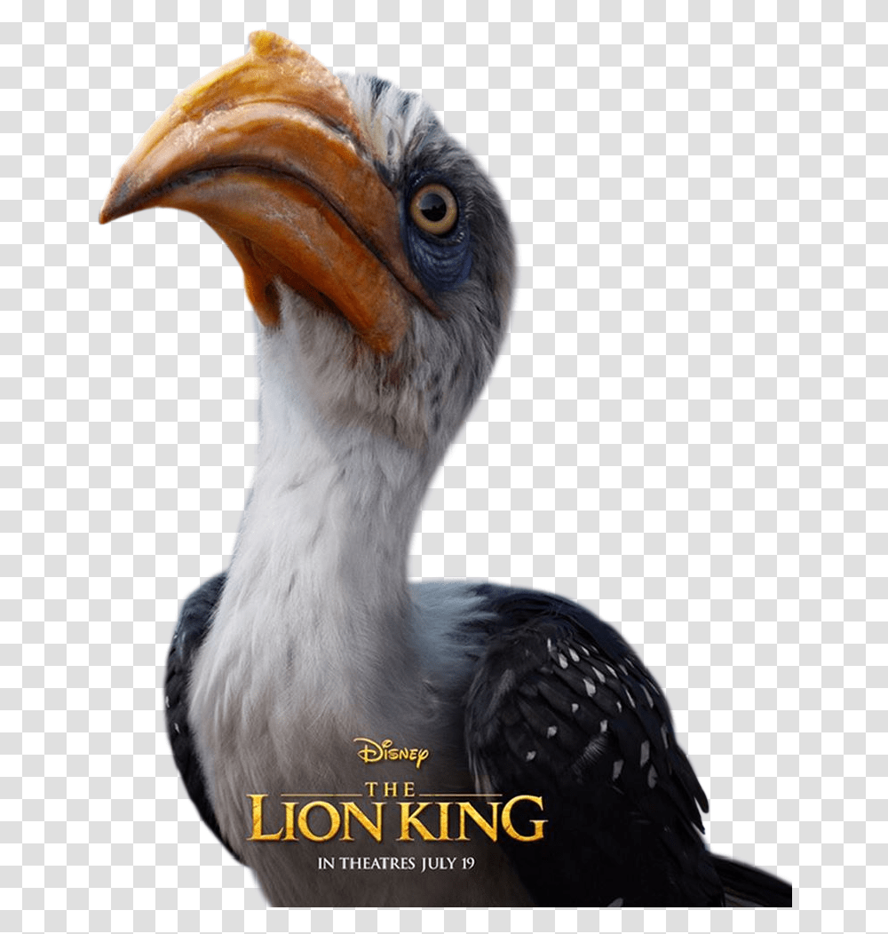 Zazu Lion King Live Action, Beak, Bird, Animal Transparent Png