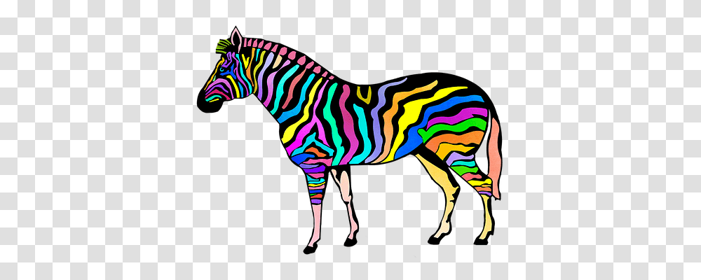 Zebra Animals, Nature Transparent Png