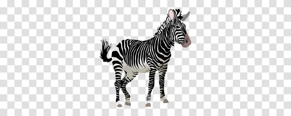 Zebra Animals, Wildlife, Mammal, Tarmac Transparent Png