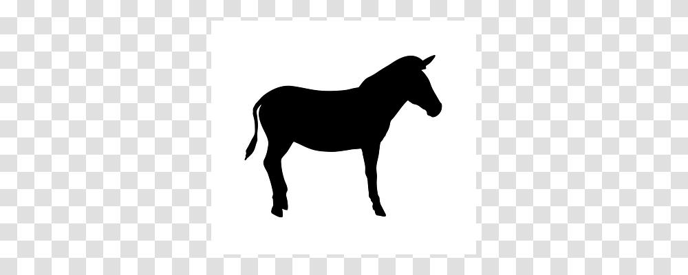 Zebra Silhouette, Stencil, Horse, Mammal Transparent Png