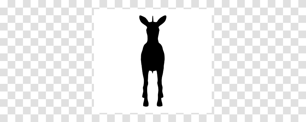 Zebra Silhouette, Mammal, Animal, Stencil Transparent Png