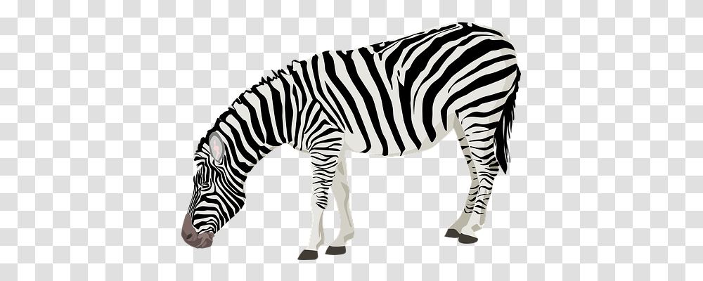 Zebra Wildlife, Mammal, Animal, Dinosaur Transparent Png