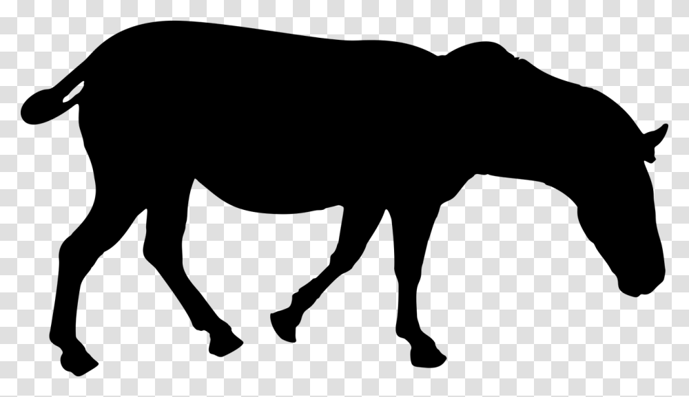 Zebra Animal Africa Wildlife Silhouette, Gray, World Of Warcraft Transparent Png