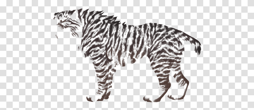 Zebra, Animal, Mammal, Manx, Cat Transparent Png