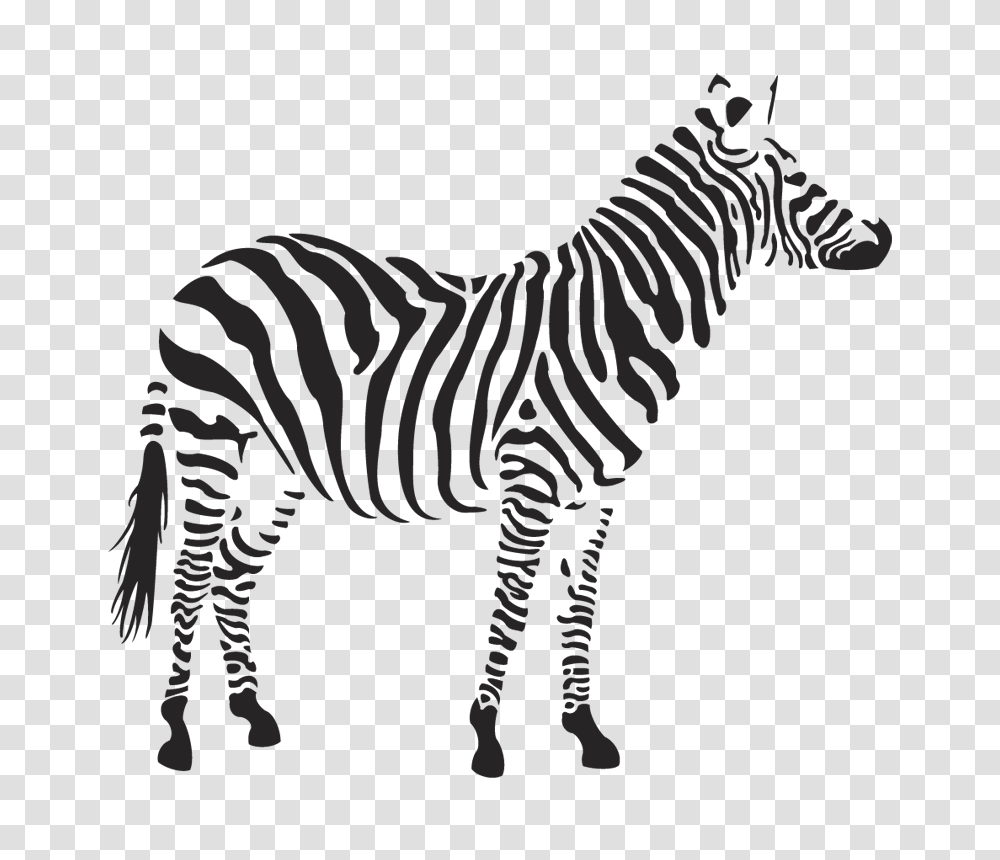 Zebra, Animals, Cross Transparent Png