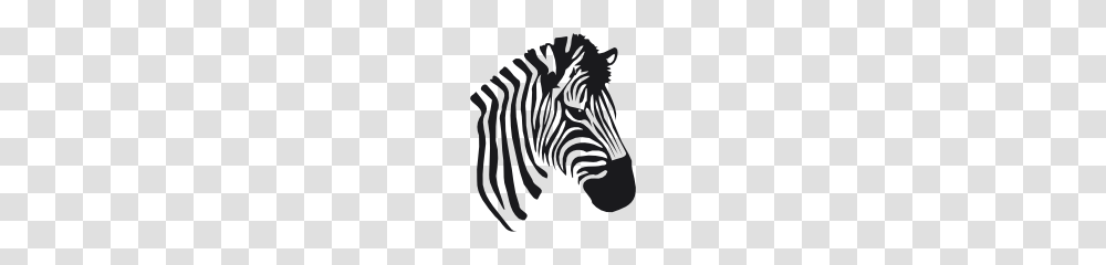 Zebra, Animals, Stencil, Rug, Wildlife Transparent Png