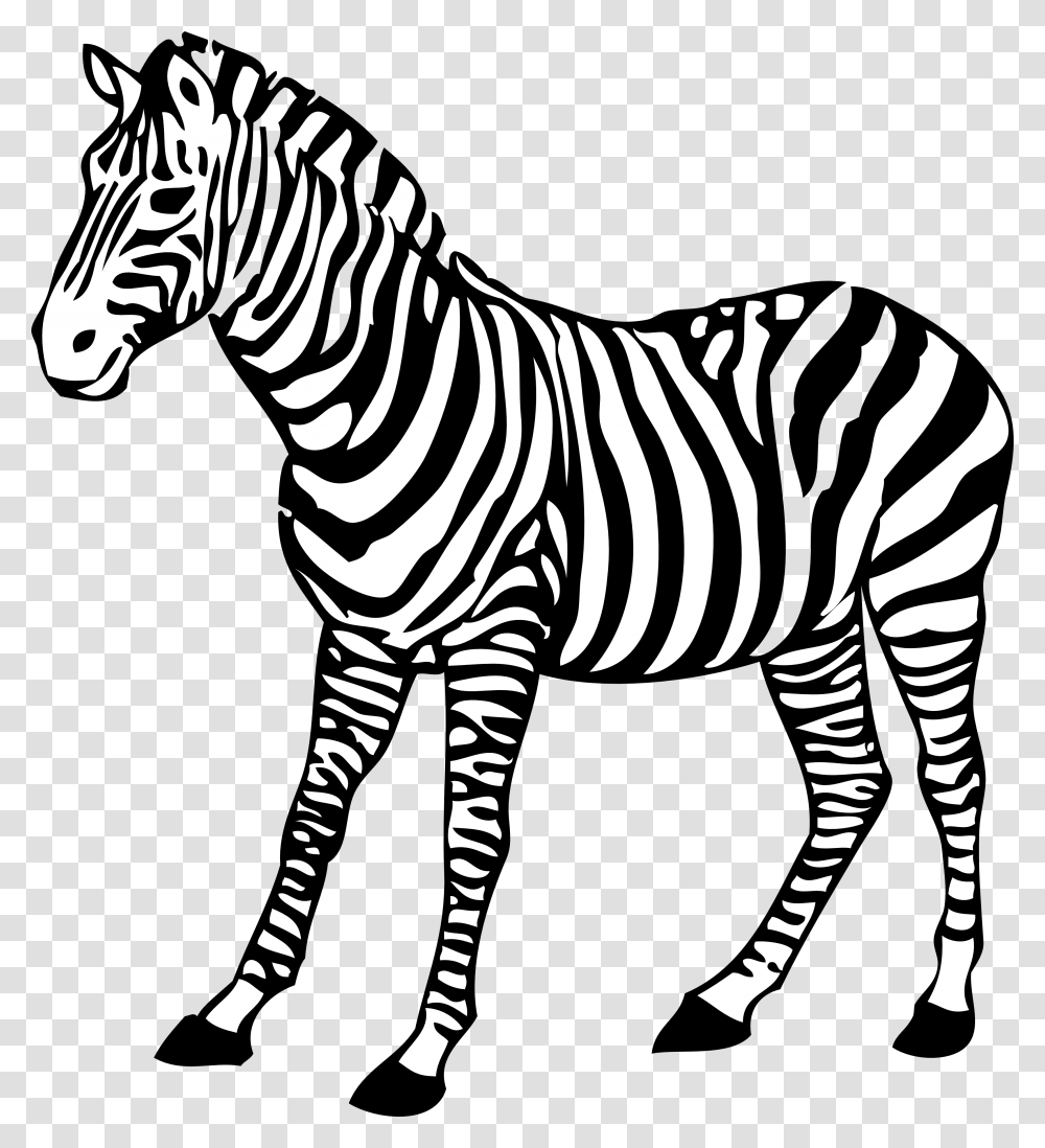 Zebra, Animals, Wildlife, Mammal, Stencil Transparent Png