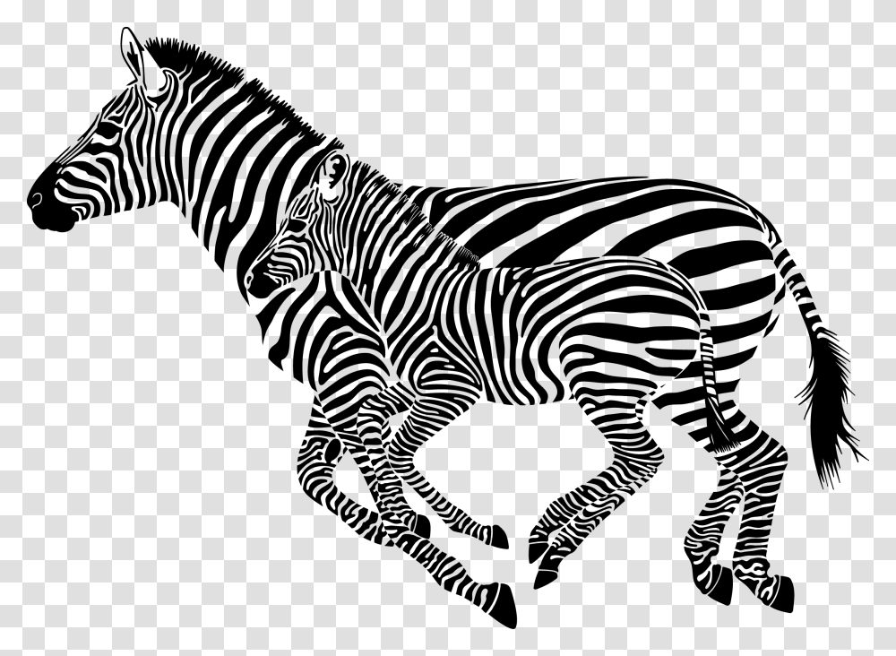 Zebra, Animals, Wildlife, Mammal, Stencil Transparent Png