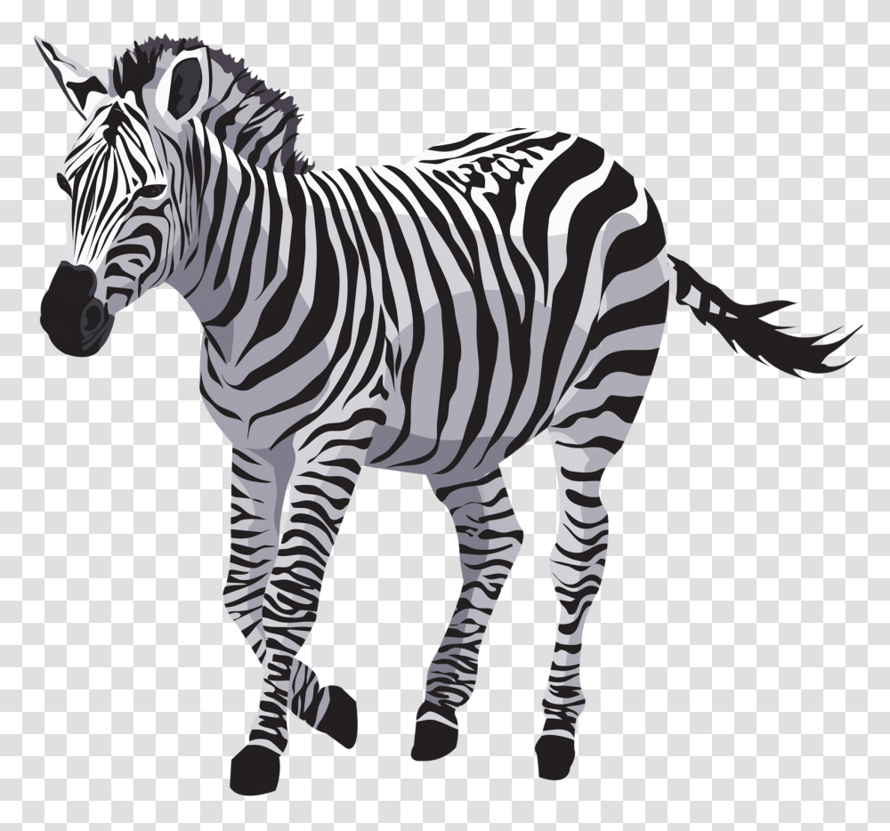 Zebra, Animals, Wildlife, Mammal, Stencil Transparent Png