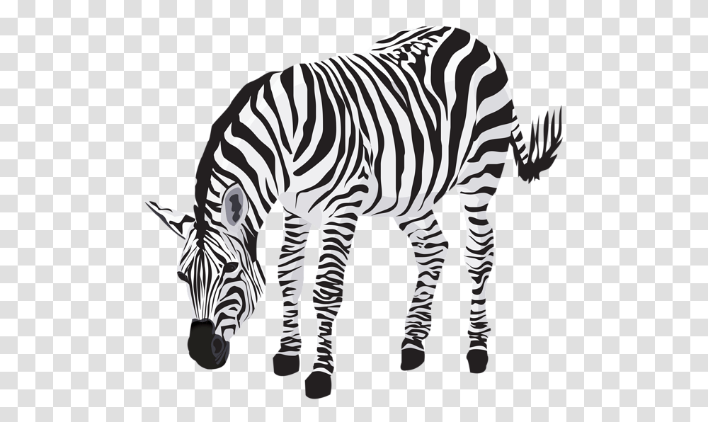 Zebra, Animals, Wildlife, Mammal, Tiger Transparent Png