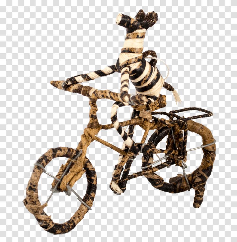 Zebra Bike, Spider, Invertebrate, Animal, Arachnid Transparent Png