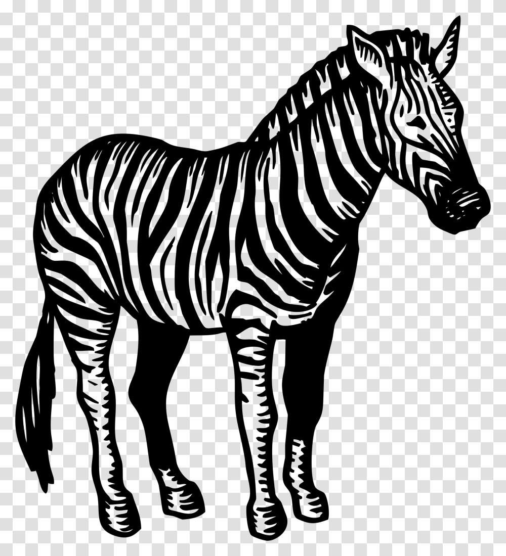 Zebra Black White, Gray, World Of Warcraft Transparent Png