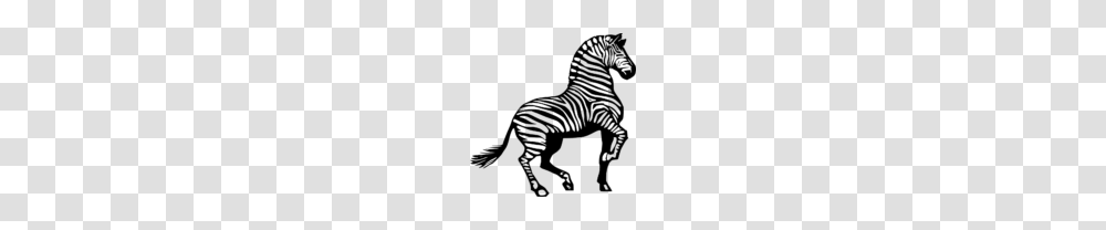 Zebra Clip Art Black And White Clipart, Gray, World Of Warcraft Transparent Png