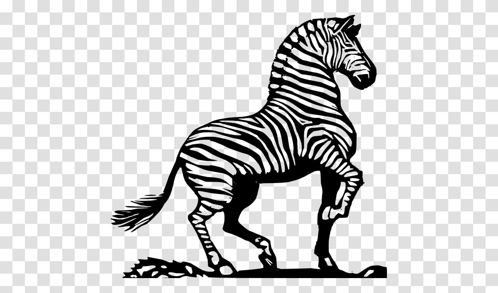 Zebra Clip Art Black And White, Wildlife, Mammal, Animal, Stencil Transparent Png