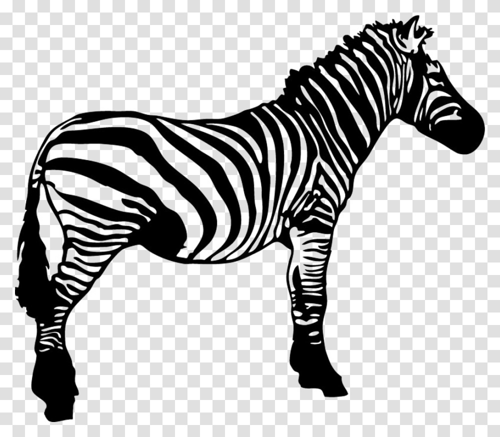 Zebra Clip Art Zebra Black And White Clipart, Wildlife, Mammal, Animal, Stencil Transparent Png