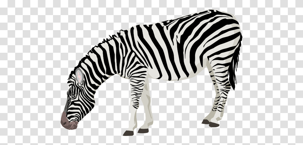 Zebra Clip Arts For Web, Wildlife, Mammal, Animal, Circus Transparent Png