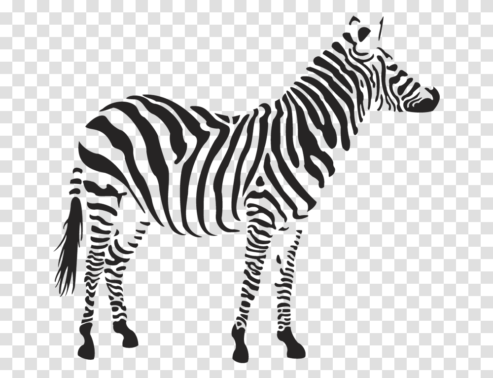 Zebra Clipart 4 Zebra Stencil, Wildlife, Mammal, Animal Transparent Png