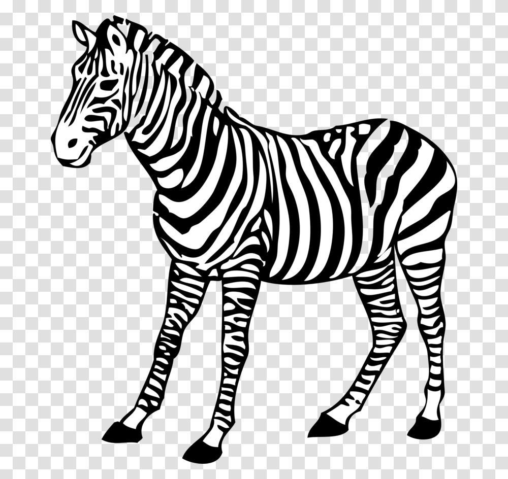 Zebra Clipart Black And White, Wildlife, Mammal, Animal, Stencil Transparent Png