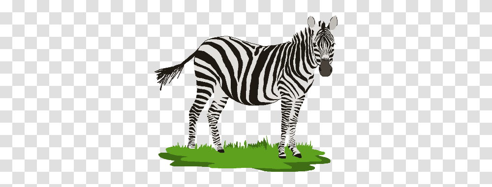 Zebra Clipart Zebra Clip Art, Wildlife, Mammal, Animal, Grass Transparent Png